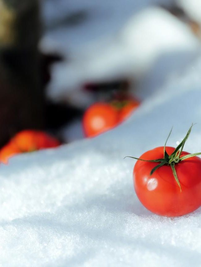 Rectangle_31_2048x2048